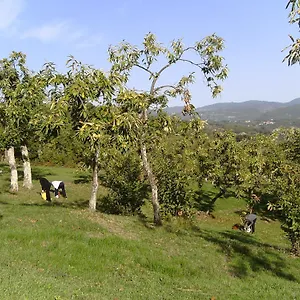La Casina Caprese Michelangelo